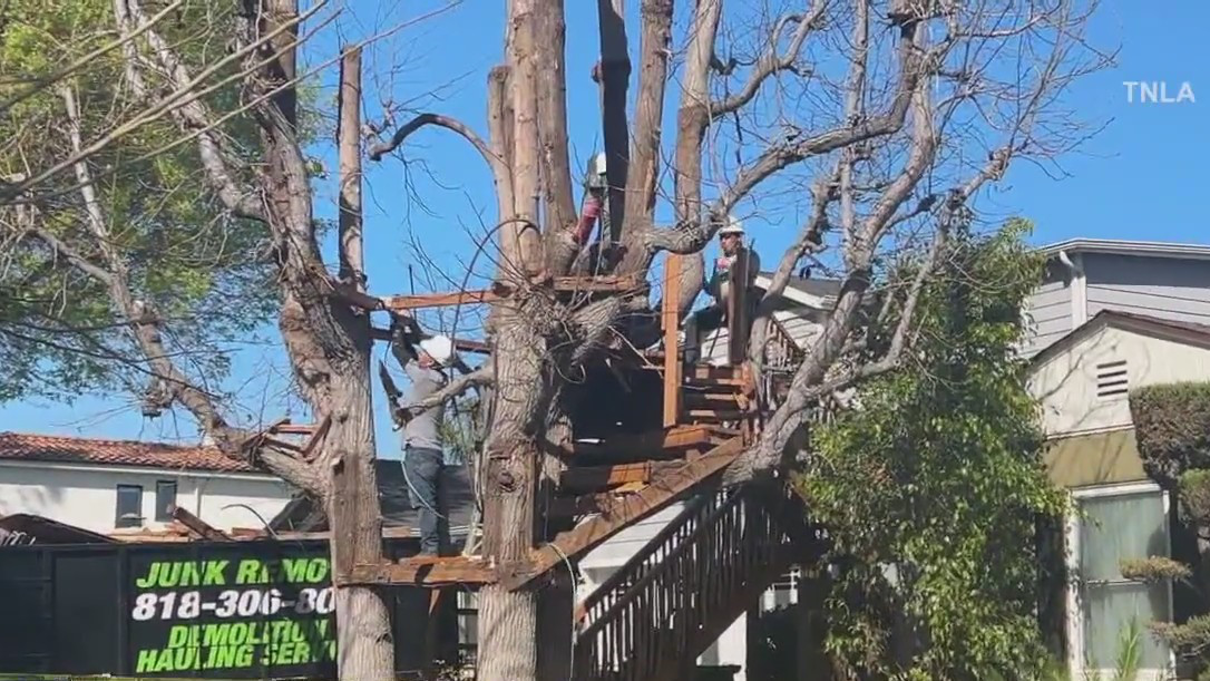 Boney Island Treehouse torn down